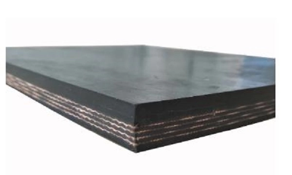 Special Performance Conveyor Belt